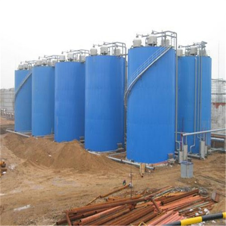 厭氧反應(yīng)器 (14).jpg