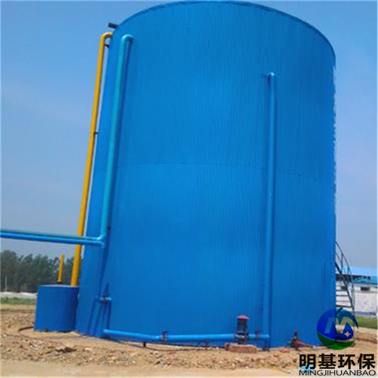 厭氧反應(yīng)器 (23).jpg